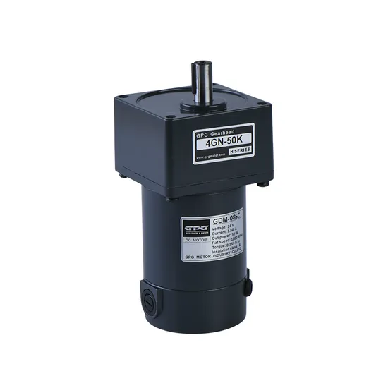 12V/24V Good Supplier Micro DC Gear Motor