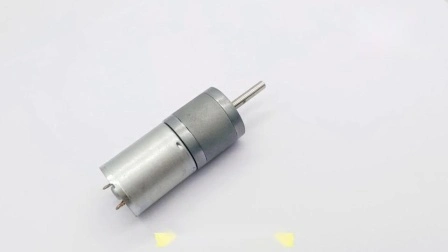 Micro moteur électrique à courant continu de 25 mm 12 V à bas régime pour presse-agrumes