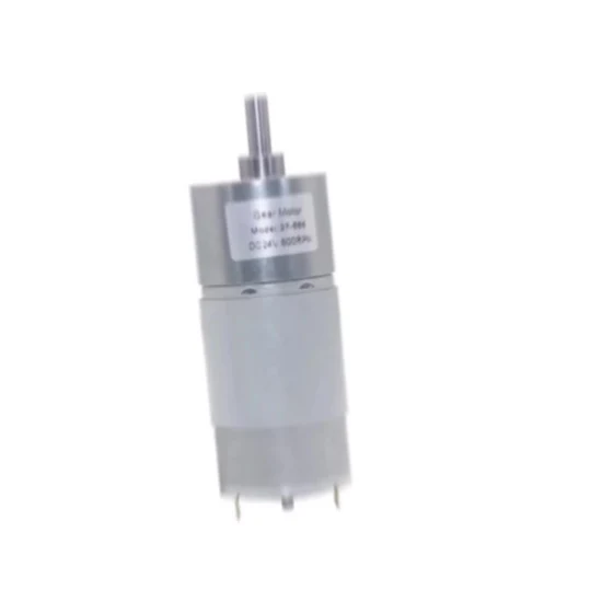 24V High Torque Low Speed ​​Mini Micro Metal DC Gear Motor with Gearwheel